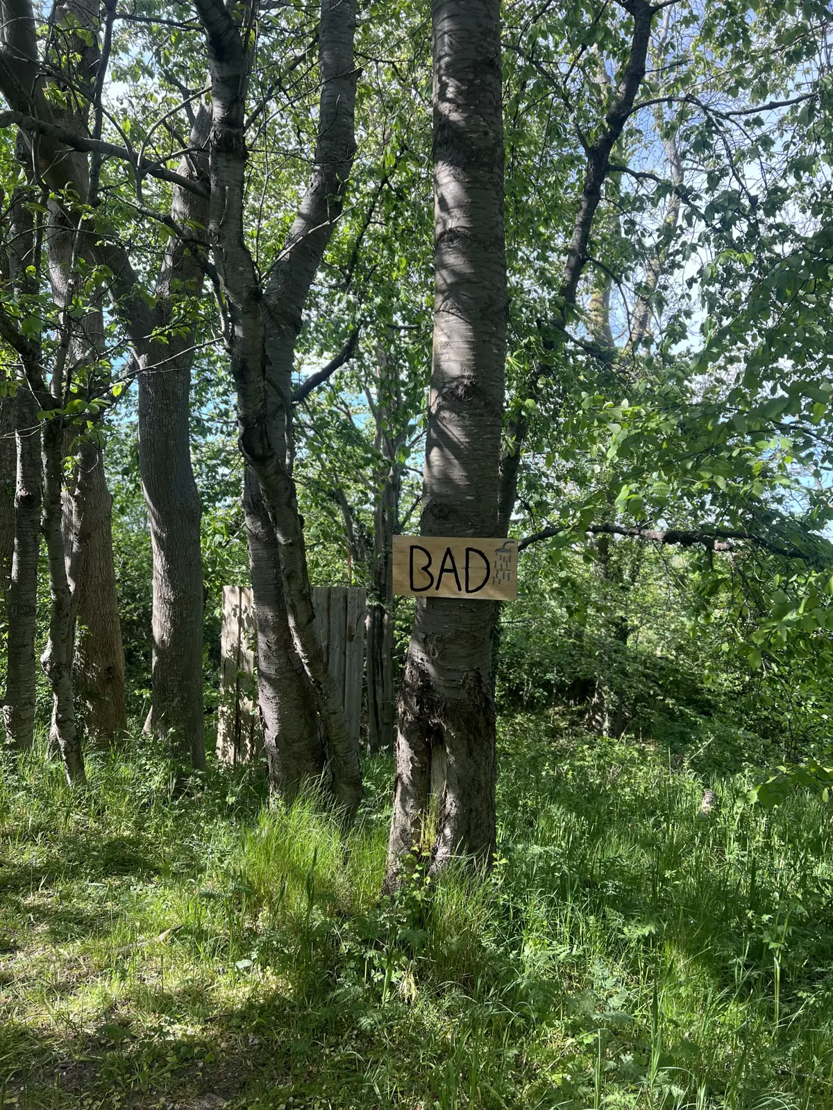 Campsite at Thygegaard 3