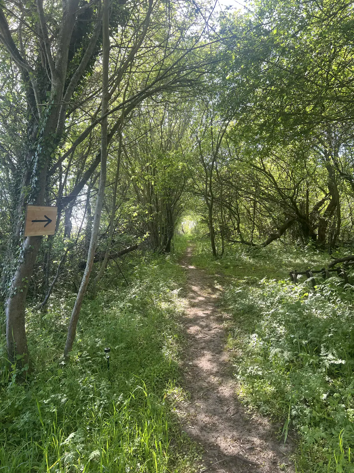 Campsite at Thygegaard 2