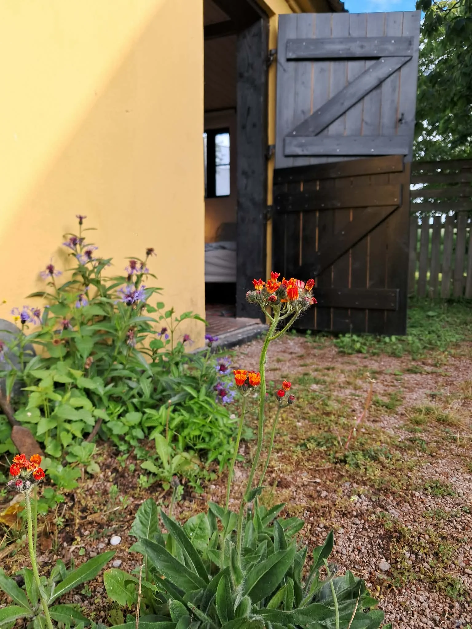 Peaceful Room at Thygegaard - Entrance Garden